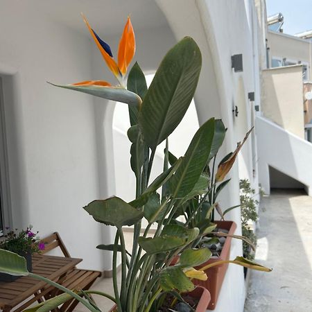 To Spitaki Sas, In Santorini! Apartment Messaria  Luaran gambar
